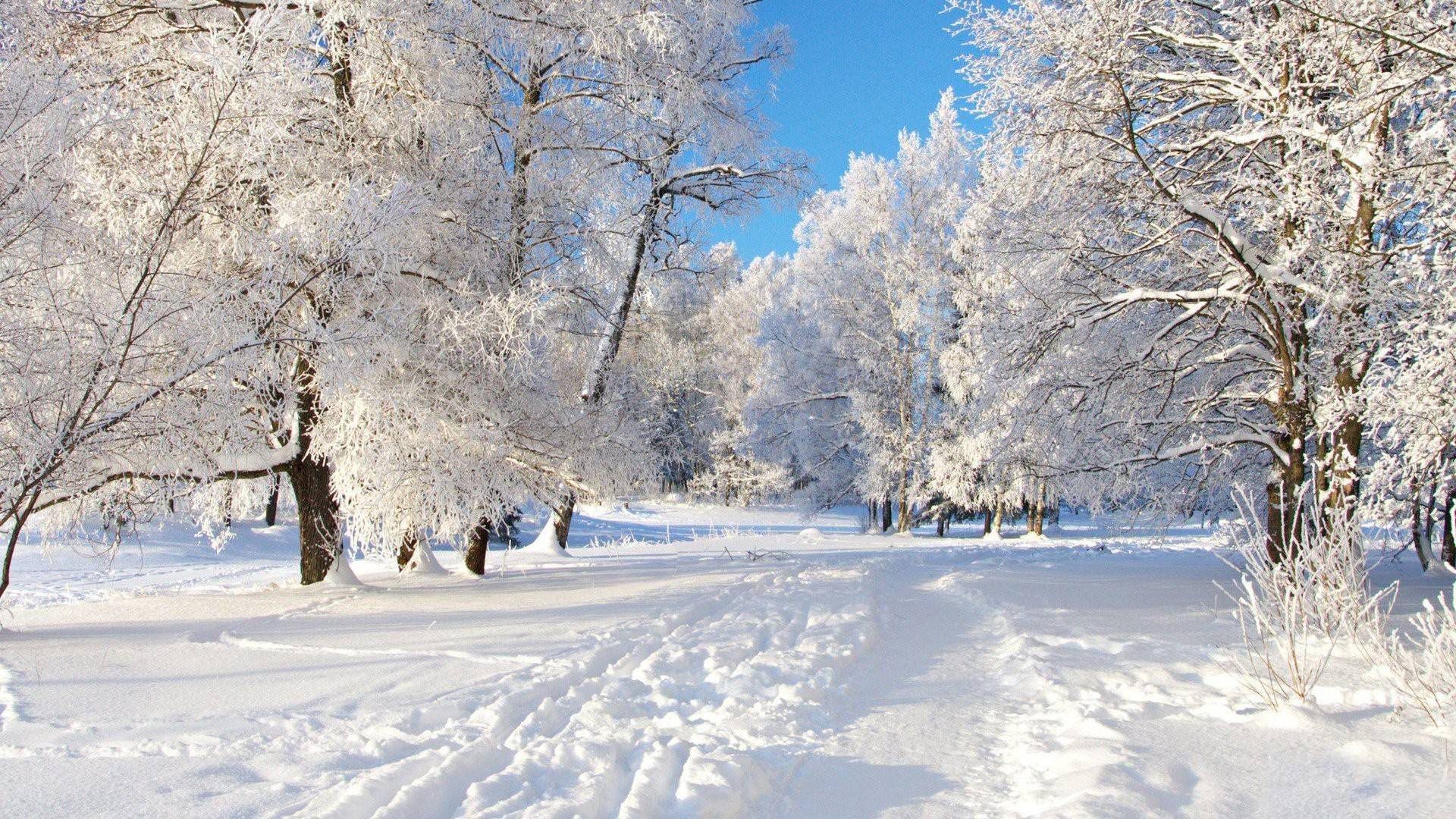 雪景的句子唯美简短