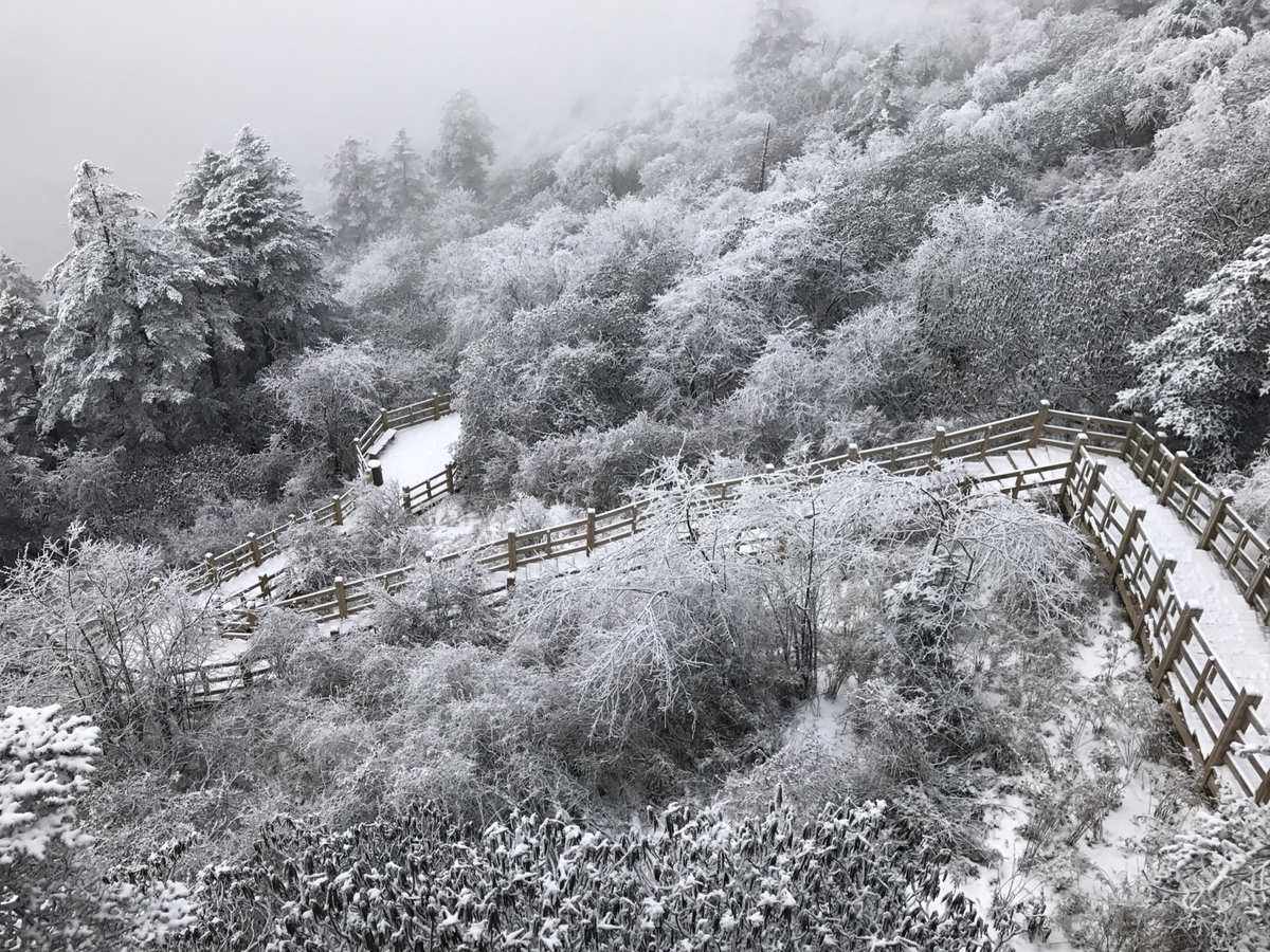 窗含西岭千秋雪