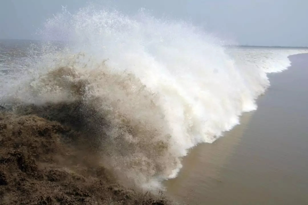 观海潮八月十八观海潮