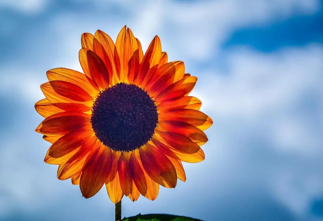 致自己简短的励志的句子